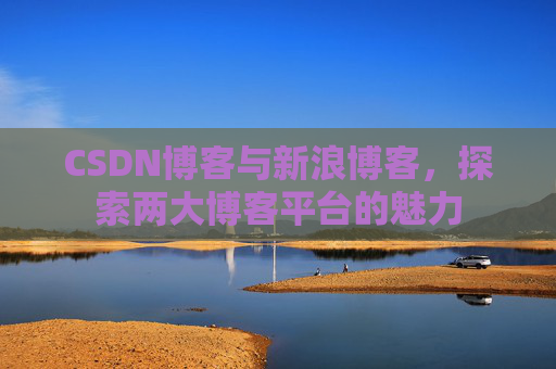 CSDN博客与新浪博客，探索两大博客平台的魅力
